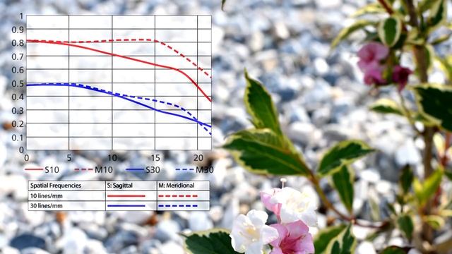 Nikon AF-S Nikkor 50mm f1.4G: универсальный светосильный объектив смотреть онлайн