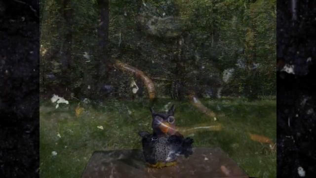 мультипликационный фильм _Необычная лесная история_.