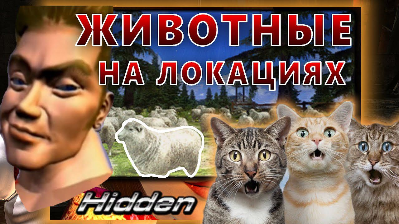 Животные на локациях TEKKEN