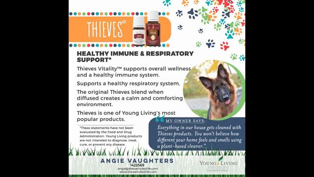 Essential Oils for Dogs! смотреть онлайн