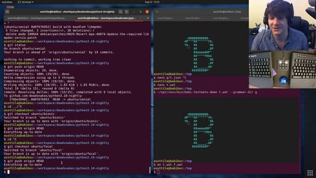 replay - deadsnakes + pre-commit.ci lambda - 2020-08-12 смотреть онлайн