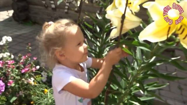 Виолетта и лето смотреть онлайн