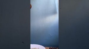 Как я живу после рака языка! Учимся кушать вместе!