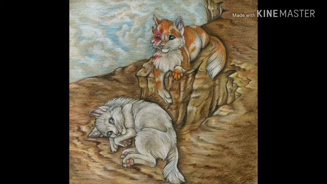 Коты воители ~~Клип~~ [Яролика и Белохвост - Дыши] смотреть онлайн