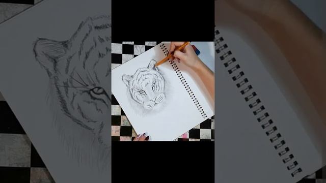 Рисуем Тигра) смотреть онлайн