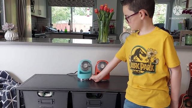 Fan Collection: New Comfort Zone смотреть онлайн