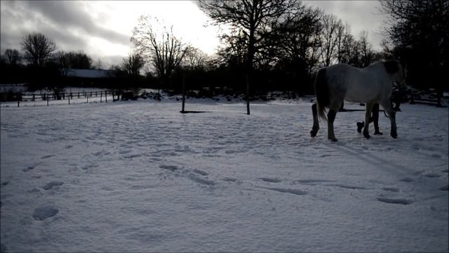 Liberty With Bugatti - part 2 [ with explanation ] смотреть онлайн