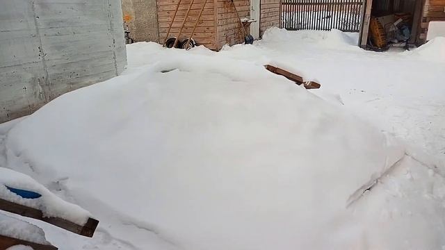 Шахтный котёл , итог расхода угля за пол сезона . смотреть онлайн