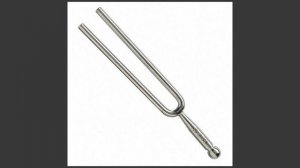 Физика 9 класс. §33 Отражение звука. Звуковой резонанс