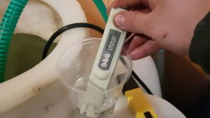 // КАК ПОДГОТОВИТЬ КЛУБНИКУ К ВЫСАДКЕ //