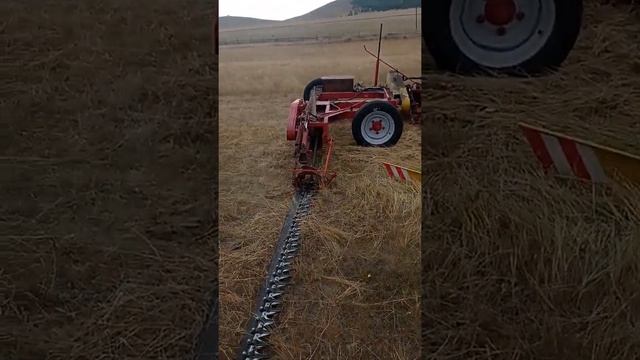 Ошибка. Не в прошлом году, а нынче весной купил))) Впервые вижу как косит "двухбруска" ? смотреть онлайн