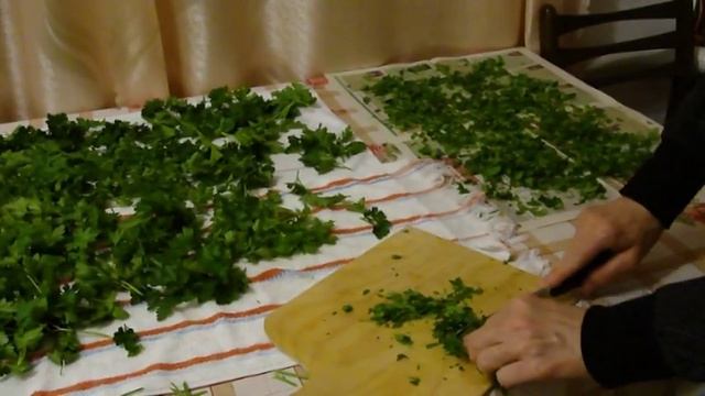 Петрушка. Как сушить петрушку. Сушеная зелень.Травы приправы. смотреть онлайн