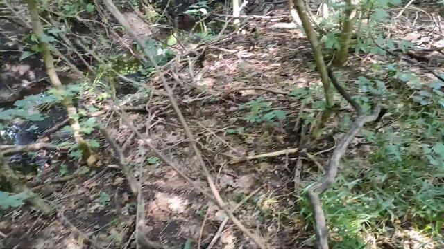 5 сентября 2023 г. смотреть онлайн