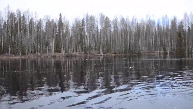 Отдых на Шуе с гитарой воде 2 смотреть онлайн
