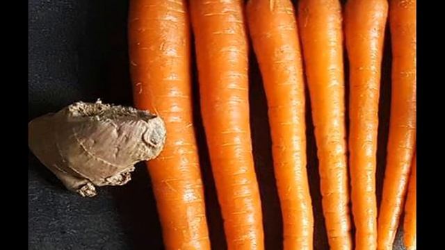 Это произойдёт с организмом если есть 1 морковку в день! В чём польза моркови? смотреть онлайн