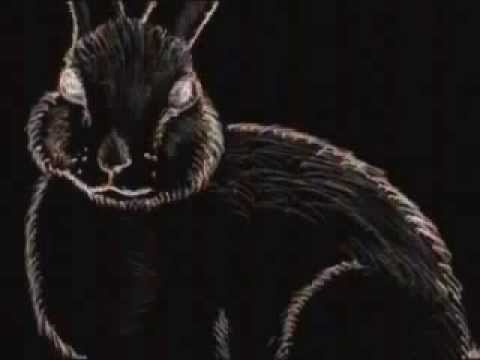 ВЗЛОМ ТЕЛЕВИДЕНИЯ / ЗАЯЦ