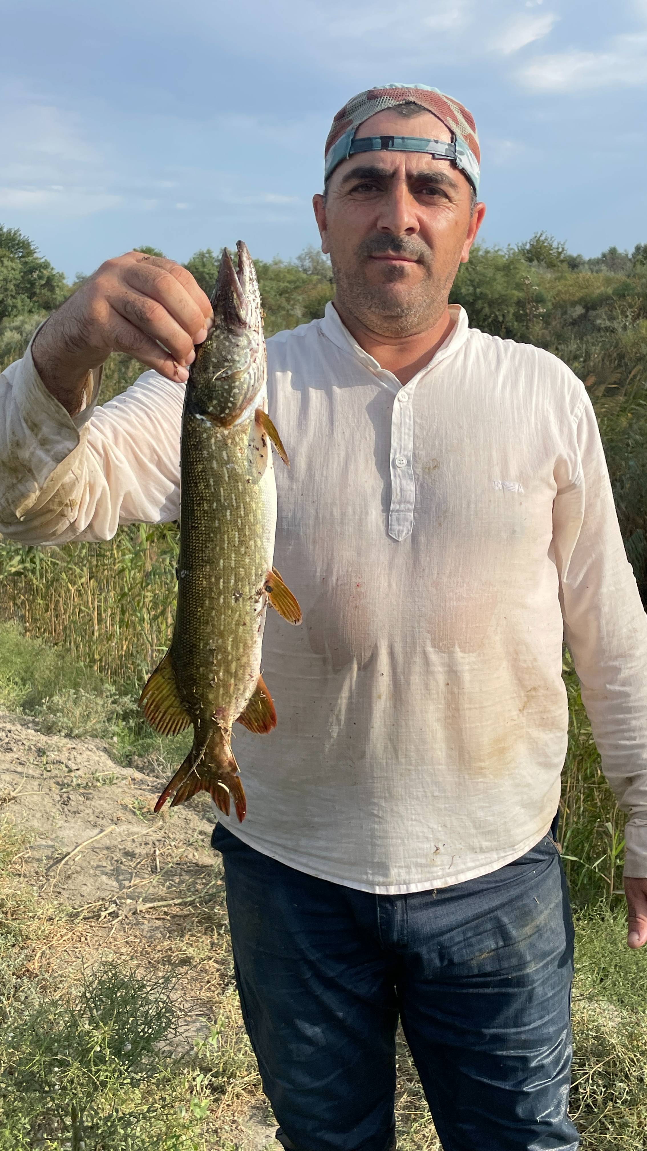 НАРВАЛИСЬ НА КОСЯК КАРАСЯ, СРЫВ ЩУК