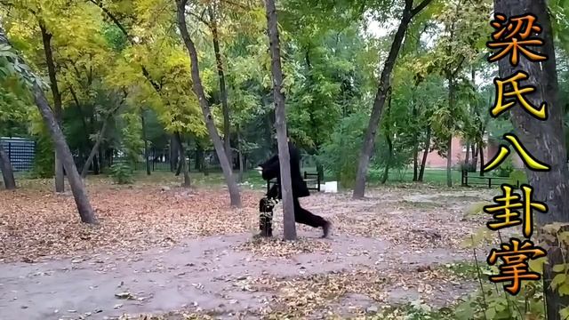 Тайцзицюань, багуачжан, ОФП. Фрагменты моей утренней тренировки смотреть онлайн