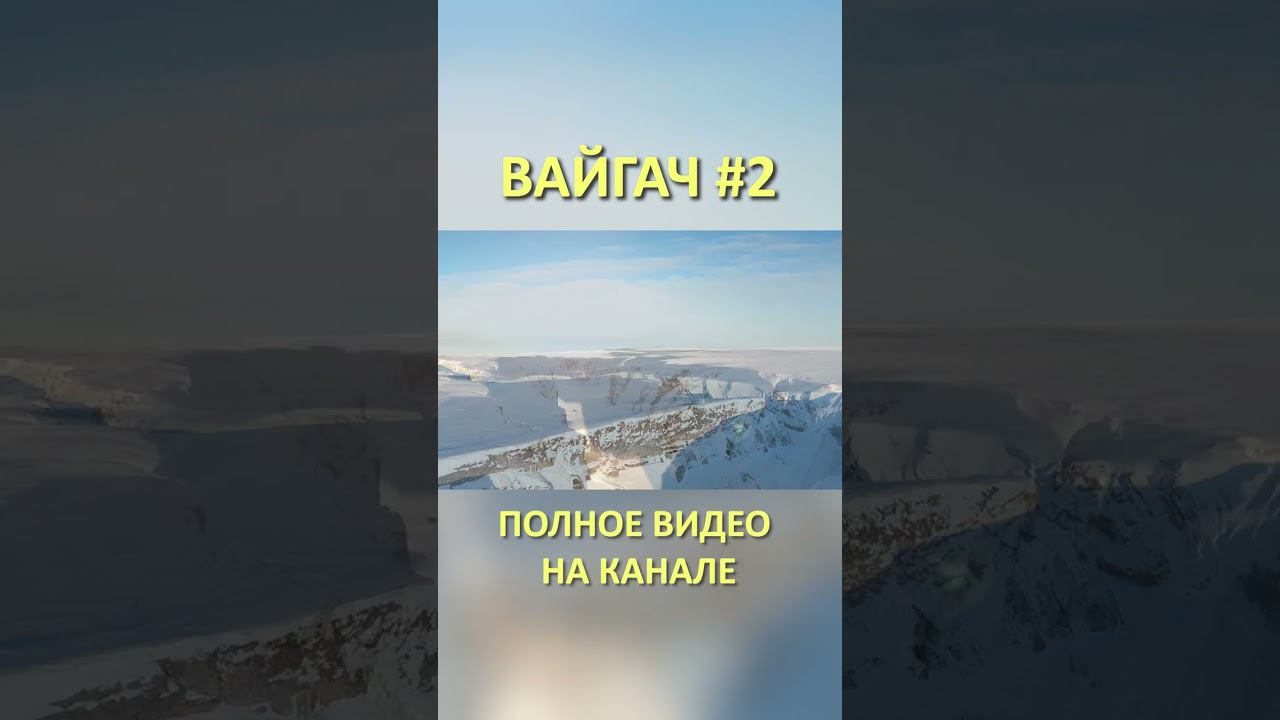 ВАЙГАЧ VAYGACH 2 SHORTS #SHORTS смотреть онлайн