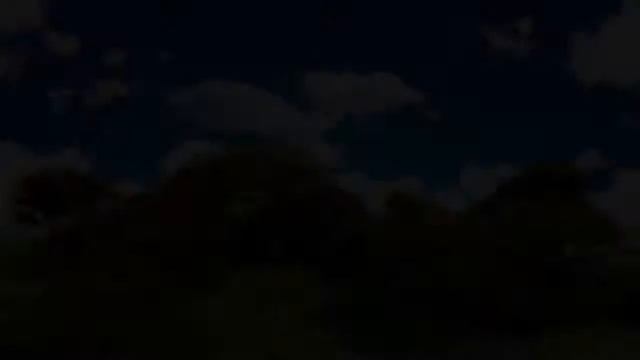 природа кроссворд смотреть онлайн