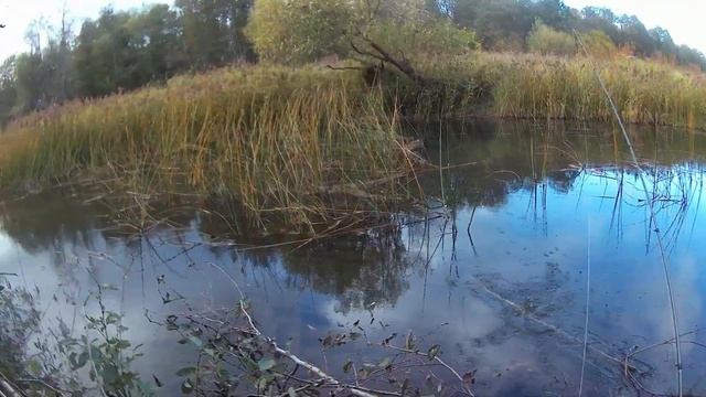 Начало октября было удачно, рыбалка на спиннинг. Щука. смотреть онлайн