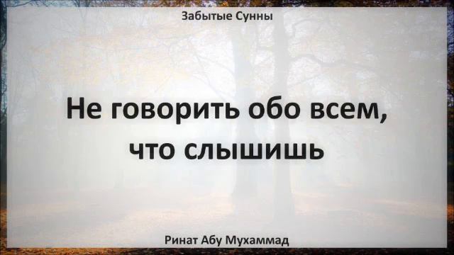 97. Не говорить обо всем, что слышишь || Ринат Абу Мухаммад смотреть онлайн