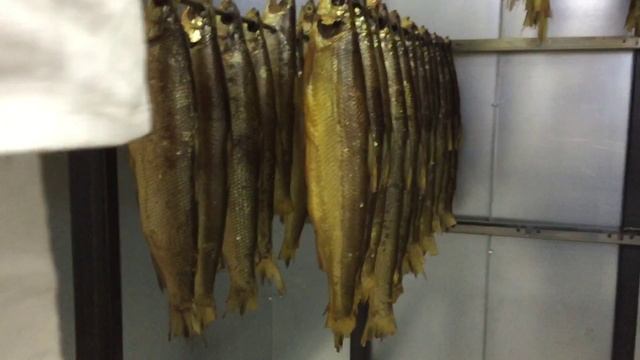 Ряпушка холодного копчения в Ижица-1200М3 - 2 смотреть онлайн