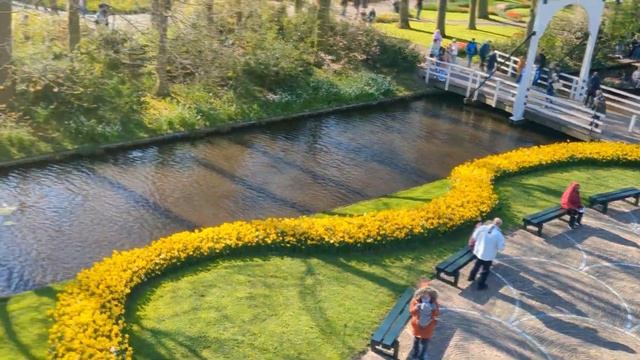 Keukenhof королевский парк Голландия. Мельница. #keukenhof #кёкенхоф #голландия #отдых смотреть онлайн