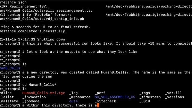 Getting Started with Cellranger VDJ: Generate and Explore Output Files смотреть онлайн