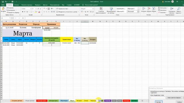 Как мы ведём учёт в нашем хозяйстве. (2020 г.) смотреть онлайн