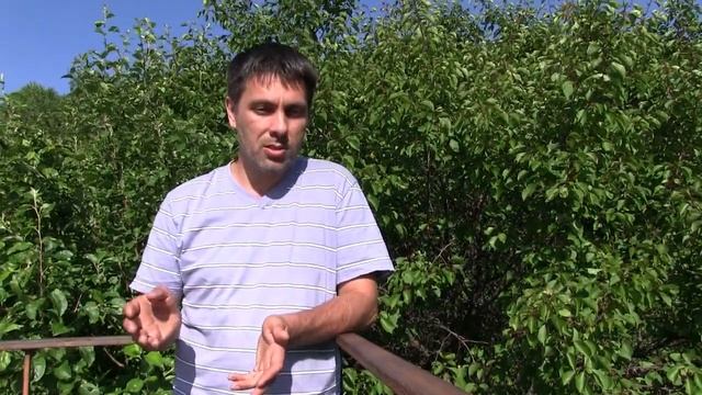 Выбор оборудования для солнечной электростанции смотреть онлайн