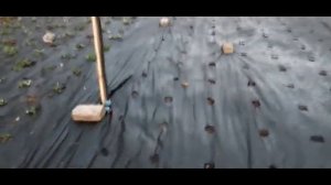 ДОЖДЕВАТЕЛЬ ДЛЯ ПОЛИВА , ВЫБОР ВЕРТУШКИ ДЛЯ ЛУЧШЕГО РАЗБРЫЗГИВАНИЯ