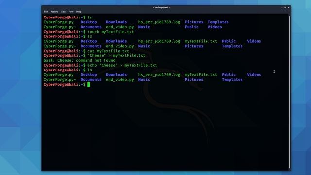 Kali Linux Terminal / Command Line for Beginners (Tutorial) смотреть онлайн