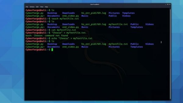Kali Linux Terminal / Command Line for Beginners (Tutorial)