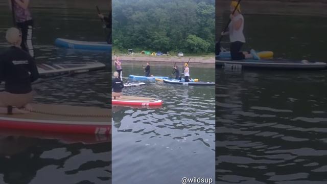 Встреча с белухами в бухте Лашкевича смотреть онлайн