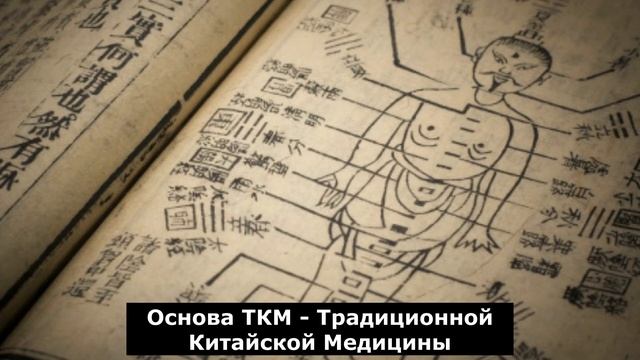 Основа ТКМ   Традиционной Китайской Медицины