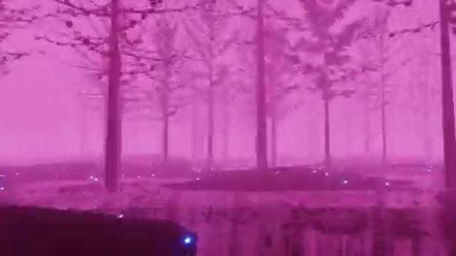 Minimalist Forest Screensaver (10 Hours) смотреть онлайн