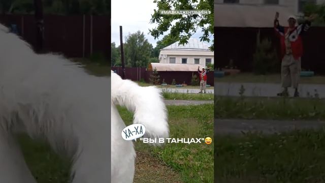 Вы в танцах и точка!!! ОН сделал наш день🤣✊️ смотреть онлайн