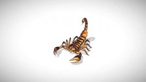 Тушда чаён курса нима булиши хакида туш табири