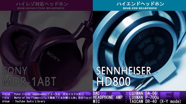 【音質比較】ハイレゾ VS ハイエンド【ヘッドホン編 : SONY MDR-1ABT vs SENNHEISER HD800】【Classic編 No.003】 смотреть онлайн