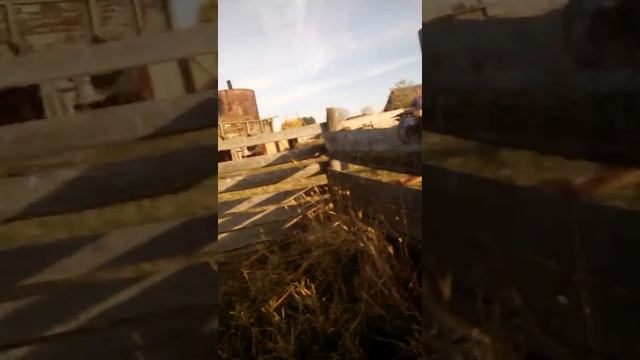 Скряга подозрительный смотреть онлайн