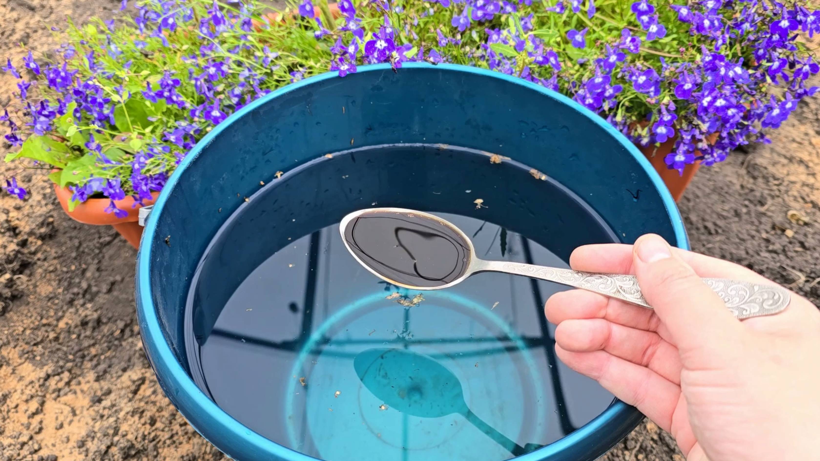 1 ложка на ведро воды и земля как НОВАЯ, ЗДОРОВАЯ, ПЛОДОРОДНАЯ, проливаю огород осенью смотреть онлайн