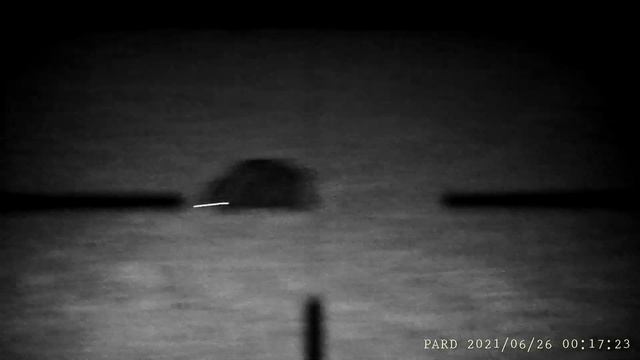 pard nv7s dziki ok 150m смотреть онлайн
