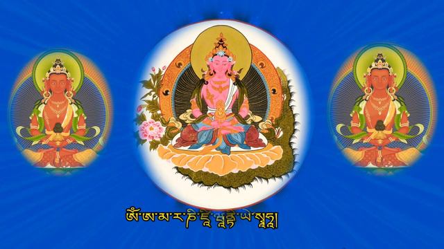 ☸Amitayus Buddha Mantra|ཨོཾ་ཨ་མ་ར་ཎི་ཛཱི་ཝཱནྟི་ཡེ་སྭཱཧཱ།ཚེ་དཔག་མེད།|अमितायुस बुद्ध मन्त्र смотреть онлайн
