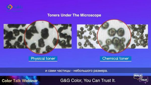 G&G - эксперт в цвете. Walk the talk с Директором по продукту