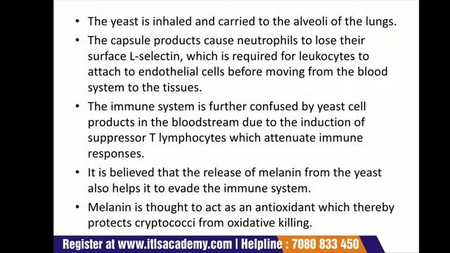 LECTURE 5 - Yeasts and molds part 2: Candiada albicans, Neuraspora , Penicillium & Trichophyton смотреть онлайн