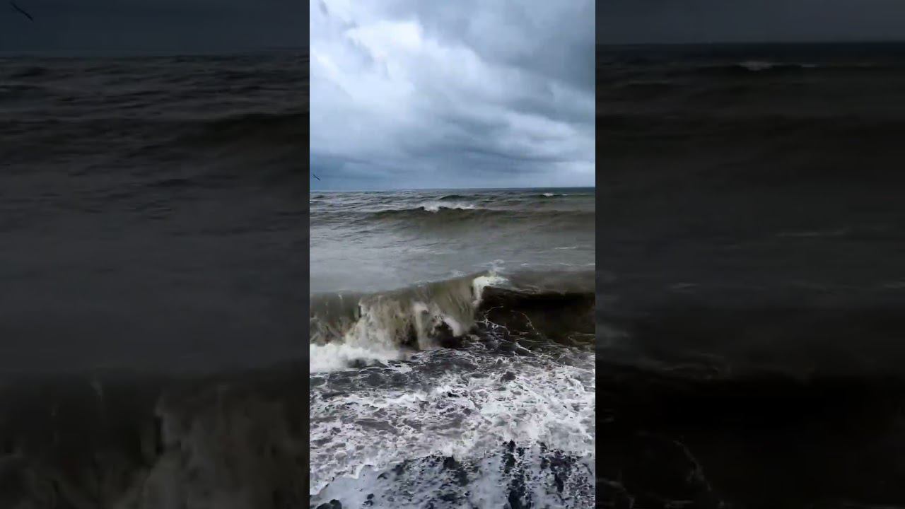 22.02.23 г. Погода Лазаревское #shorts #погодалазаревское #погодасочи #черноеморе #сочифорния #сочи смотреть онлайн