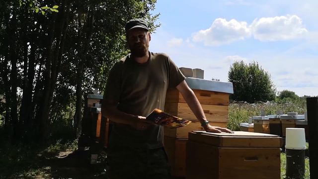 ВАЖНО ЗНАТЬ на сколько семья сильно заражена ВАРРОА смотреть онлайн