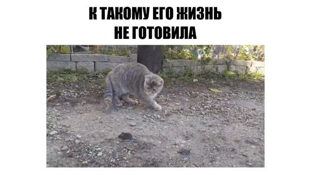 К такому его жизнь не готовила смотреть онлайн