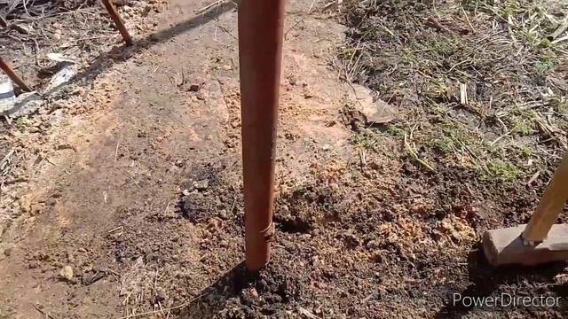 Первый день на огороде # Наши молодки начали нестись... смотреть онлайн